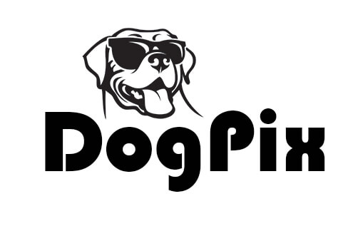 Logo Dogpix